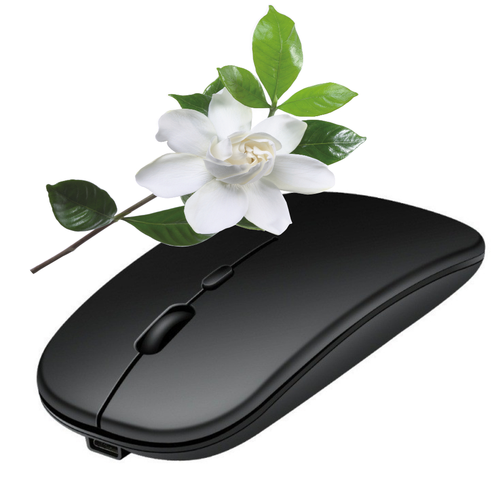 Rechargeable Bluetooth Mouse W - Pc Gaming X3D 评论和价格